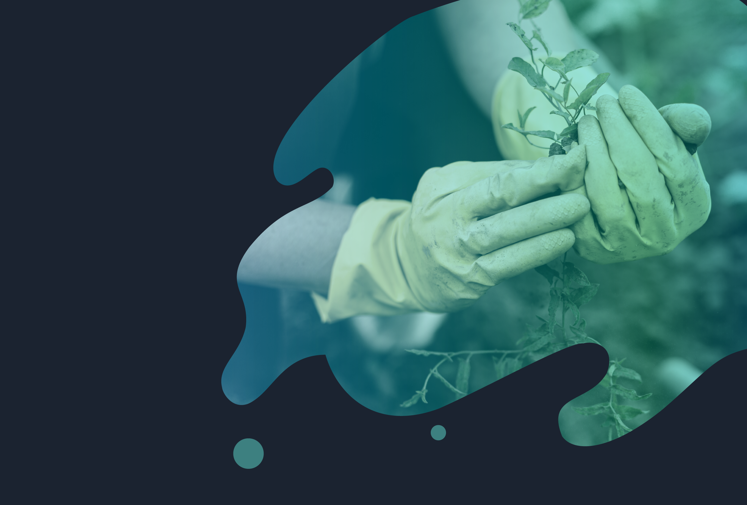 header-espacios-verdes